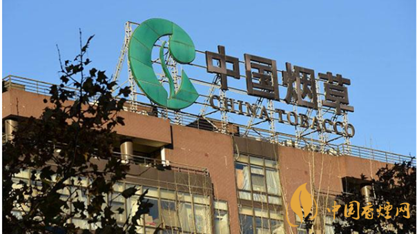 香煙漲價最新消息2020：香煙漲價真的能控?zé)焼?>
                                    <span>香煙漲價最新消息2020：香煙漲價真的能控?zé)焼?/span>
                                    <p>現(xiàn)在我國煙民的基數(shù)在不斷增大，而且有越來越多的青少年加入吸煙</p>
                                </a>
                            </li>
                                                                                </ul>
                    </div>

                </div>
            </div>
        </div>
    </div>

    
<link rel=