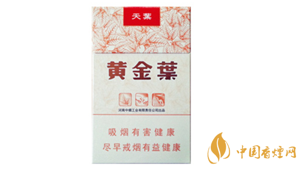 黃金葉天葉真?zhèn)卧趺幢鎰e？天葉真假如何看？