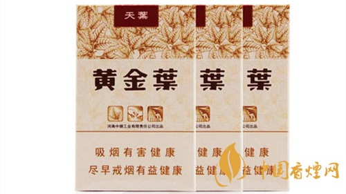 2020黃金葉天葉怎么樣？黃金葉大小天葉有什么不同