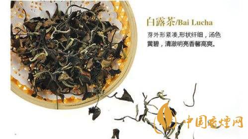 白露茶屬于什么茶類(lèi) 白露茶的功效與副作用介紹