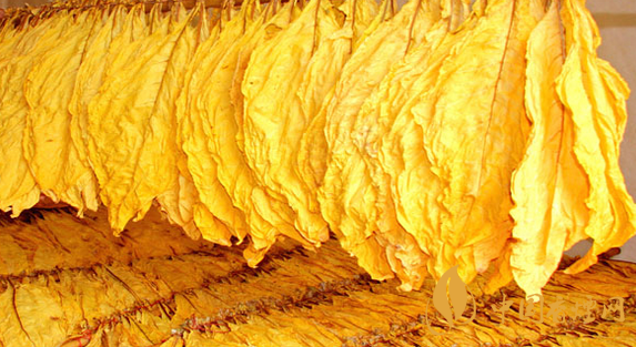 混合煙和烤煙有什么區(qū)別 混合煙和烤煙哪個危害更大