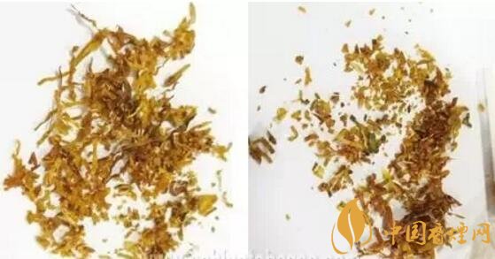 冬蟲夏草（和潤）真假鑒別，春節(jié)防止被騙