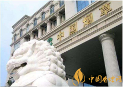 國家發(fā)話了：煙草系統(tǒng)腐敗制度不夠透明必須整治！