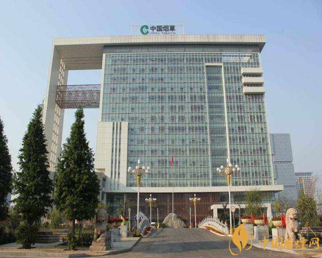 3.5億煙民1年為國家貢獻1.2億！專家：卷煙太便宜，要漲價